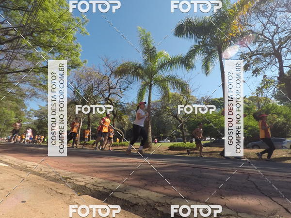 Buy your photos of the event35� Corrida INTEGRA��O EPTV 10K on Fotop
