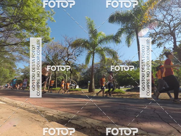 Buy your photos of the event35� Corrida INTEGRA��O EPTV 10K on Fotop