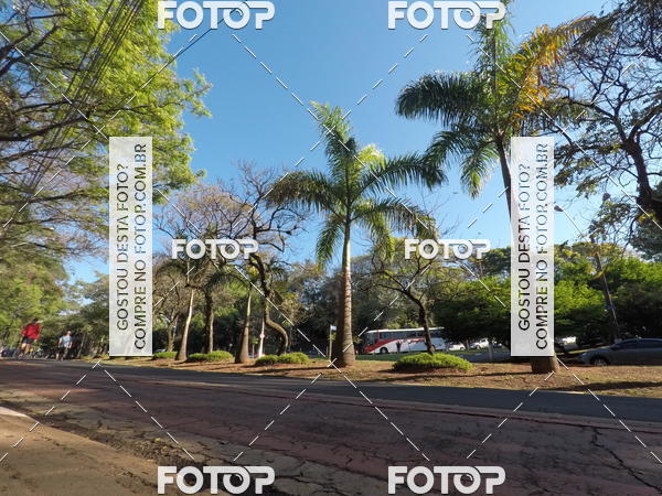 Buy your photos of the event35� Corrida INTEGRA��O EPTV 10K on Fotop