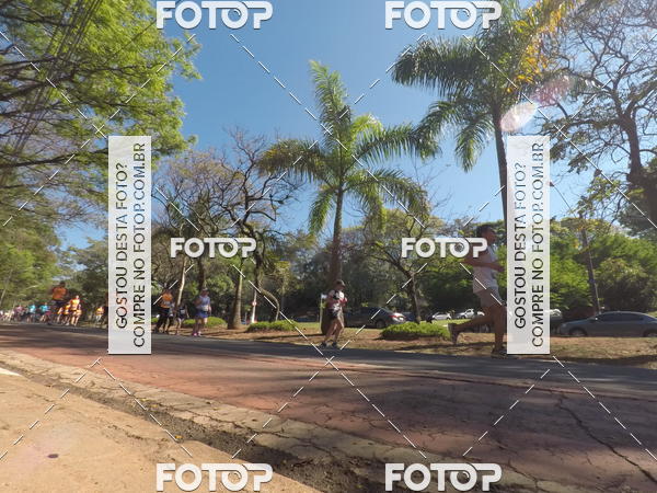 Buy your photos of the event35� Corrida INTEGRA��O EPTV 10K on Fotop