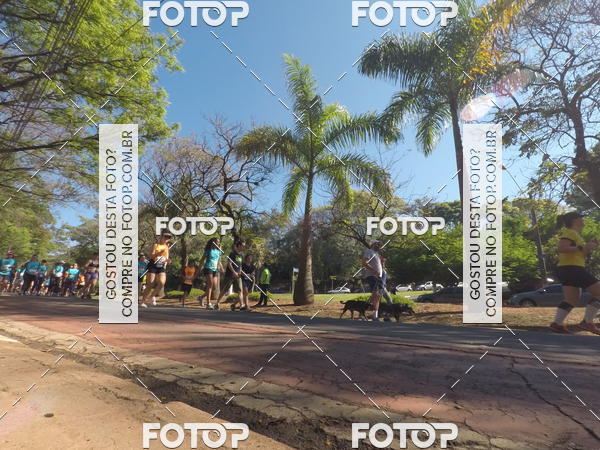 Buy your photos of the event35� Corrida INTEGRA��O EPTV 10K on Fotop