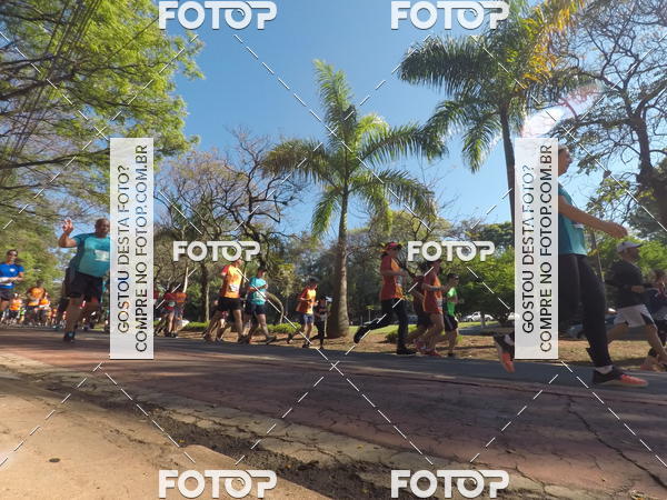 Buy your photos of the event35� Corrida INTEGRA��O EPTV 10K on Fotop
