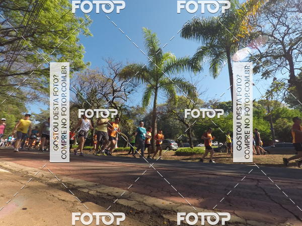 Buy your photos of the event35� Corrida INTEGRA��O EPTV 10K on Fotop