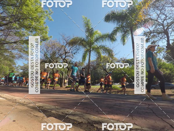 Buy your photos of the event35� Corrida INTEGRA��O EPTV 10K on Fotop