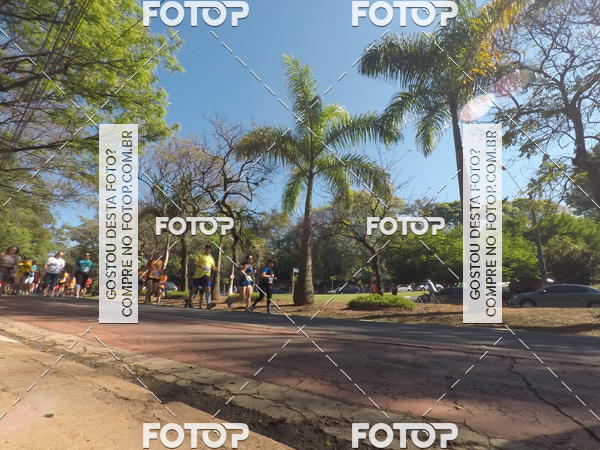 Buy your photos of the event35� Corrida INTEGRA��O EPTV 10K on Fotop