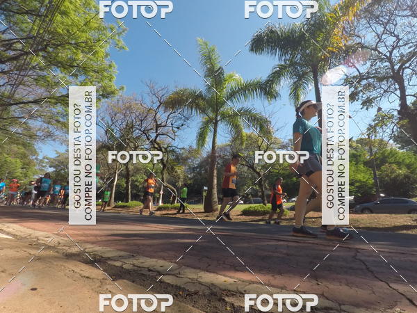 Buy your photos of the event35� Corrida INTEGRA��O EPTV 10K on Fotop