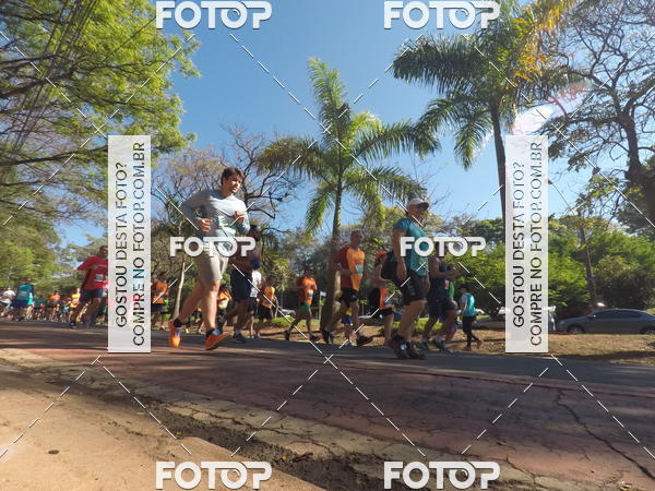 Buy your photos of the event35� Corrida INTEGRA��O EPTV 10K on Fotop