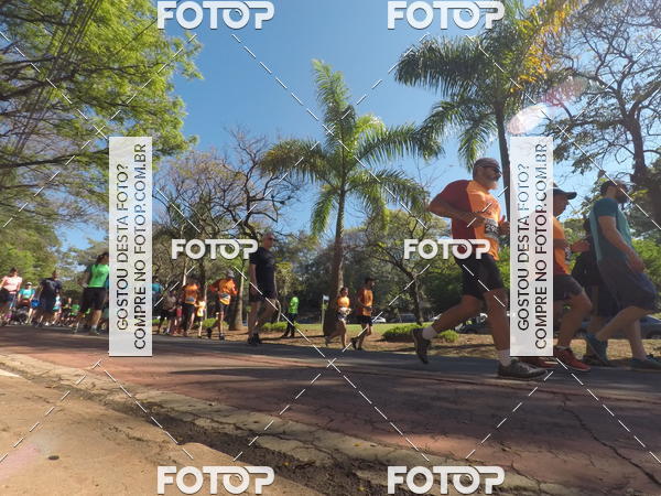 Buy your photos of the event35� Corrida INTEGRA��O EPTV 10K on Fotop