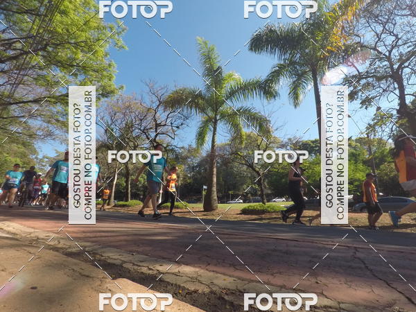 Buy your photos of the event35� Corrida INTEGRA��O EPTV 10K on Fotop
