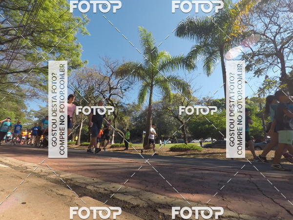 Buy your photos of the event35� Corrida INTEGRA��O EPTV 10K on Fotop