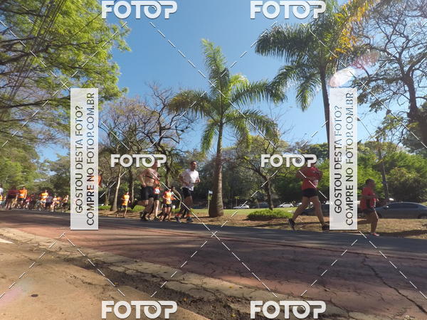 Buy your photos of the event35� Corrida INTEGRA��O EPTV 10K on Fotop