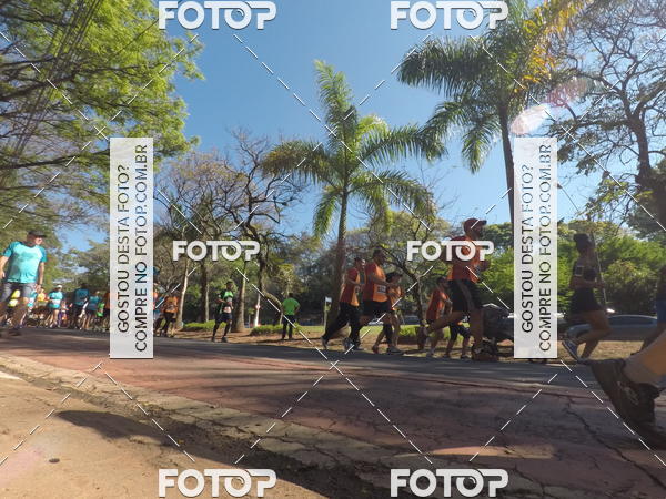 Buy your photos of the event35� Corrida INTEGRA��O EPTV 10K on Fotop