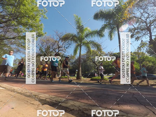 Buy your photos of the event35� Corrida INTEGRA��O EPTV 10K on Fotop