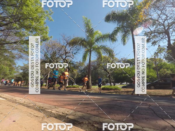 Buy your photos of the event35� Corrida INTEGRA��O EPTV 10K on Fotop