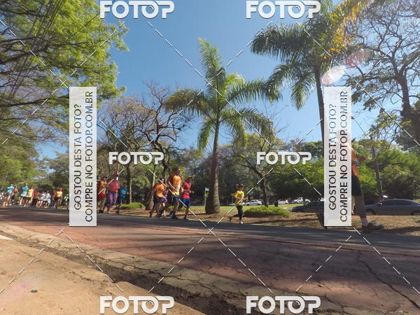 Buy your photos of the event35� Corrida INTEGRA��O EPTV 10K on Fotop