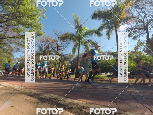 Buy your photos of the event35� Corrida INTEGRA��O EPTV 10K on Fotop