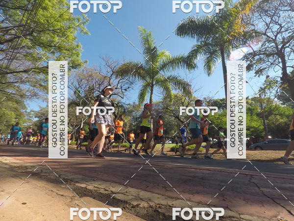 Buy your photos of the event35� Corrida INTEGRA��O EPTV 10K on Fotop