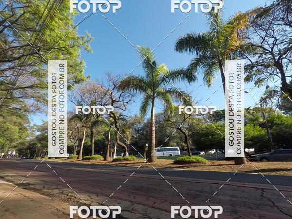 Buy your photos of the event35� Corrida INTEGRA��O EPTV 10K on Fotop