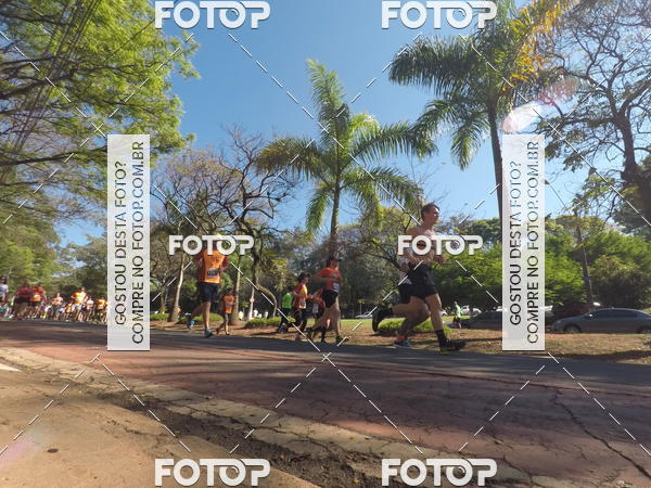 Buy your photos of the event35� Corrida INTEGRA��O EPTV 10K on Fotop