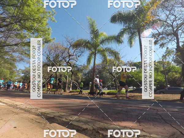 Buy your photos of the event35� Corrida INTEGRA��O EPTV 10K on Fotop