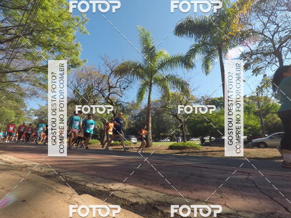 Buy your photos of the event35� Corrida INTEGRA��O EPTV 10K on Fotop