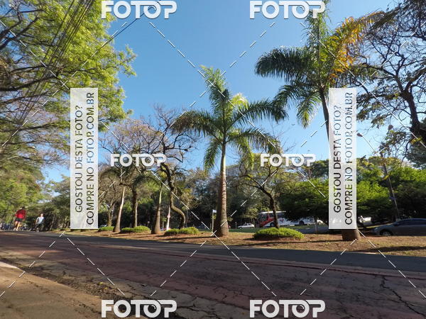 Buy your photos of the event35� Corrida INTEGRA��O EPTV 10K on Fotop