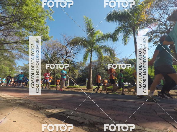 Buy your photos of the event35� Corrida INTEGRA��O EPTV 10K on Fotop