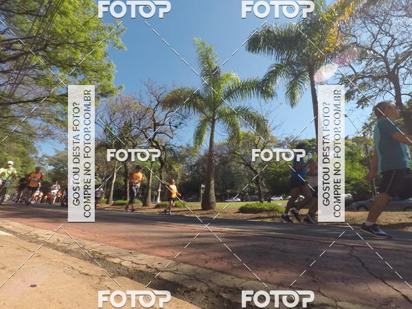 Buy your photos of the event35� Corrida INTEGRA��O EPTV 10K on Fotop