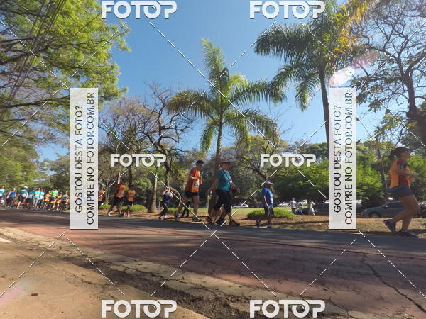 Buy your photos of the event35� Corrida INTEGRA��O EPTV 10K on Fotop