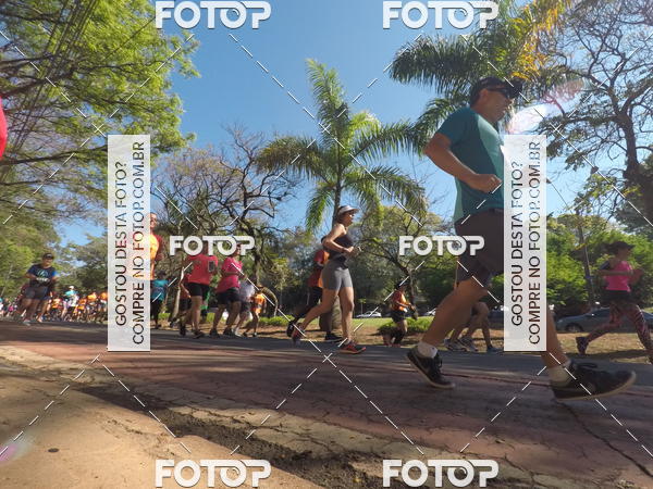 Buy your photos of the event35� Corrida INTEGRA��O EPTV 10K on Fotop