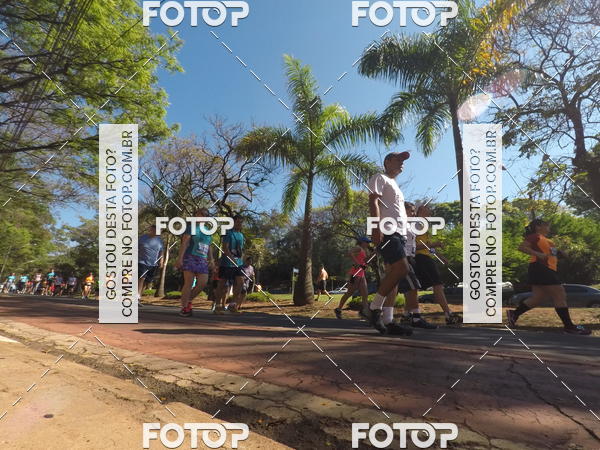 Buy your photos of the event35� Corrida INTEGRA��O EPTV 10K on Fotop