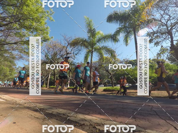 Buy your photos of the event35� Corrida INTEGRA��O EPTV 10K on Fotop