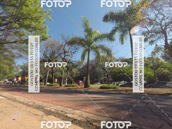 Buy your photos of the event35� Corrida INTEGRA��O EPTV 10K on Fotop