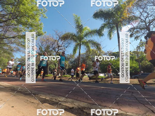 Buy your photos of the event35� Corrida INTEGRA��O EPTV 10K on Fotop