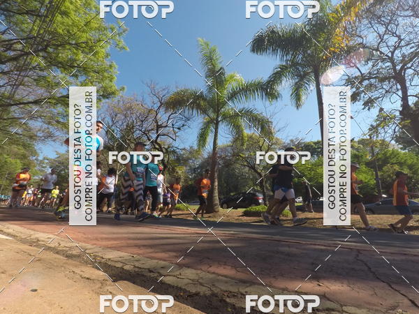Buy your photos of the event35� Corrida INTEGRA��O EPTV 10K on Fotop