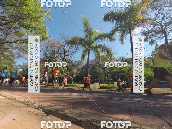Buy your photos of the event35� Corrida INTEGRA��O EPTV 10K on Fotop