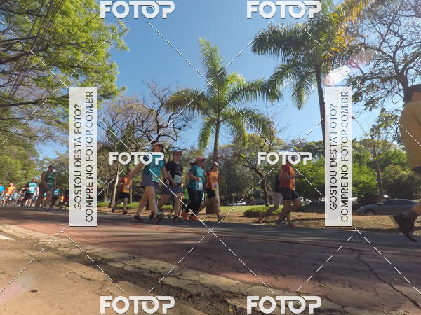 Buy your photos of the event35� Corrida INTEGRA��O EPTV 10K on Fotop