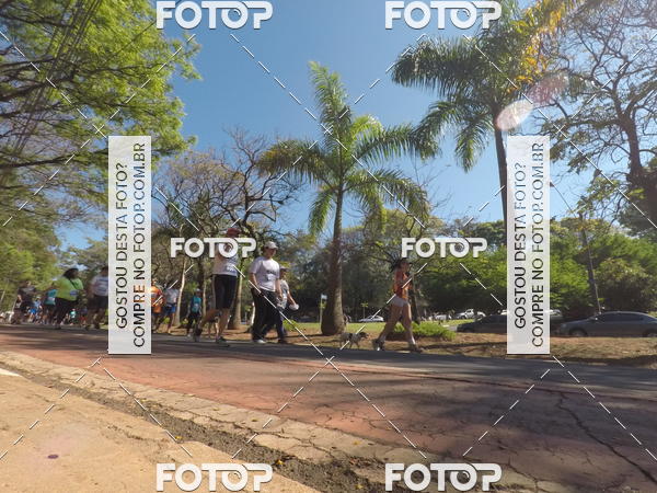Buy your photos of the event35� Corrida INTEGRA��O EPTV 10K on Fotop