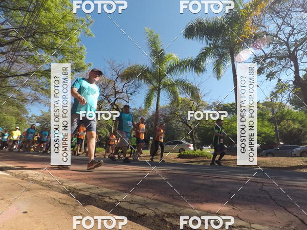 Buy your photos of the event35� Corrida INTEGRA��O EPTV 10K on Fotop
