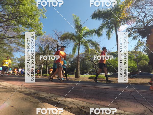Buy your photos of the event35� Corrida INTEGRA��O EPTV 10K on Fotop