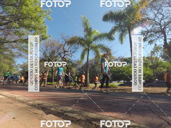 Buy your photos of the event35� Corrida INTEGRA��O EPTV 10K on Fotop