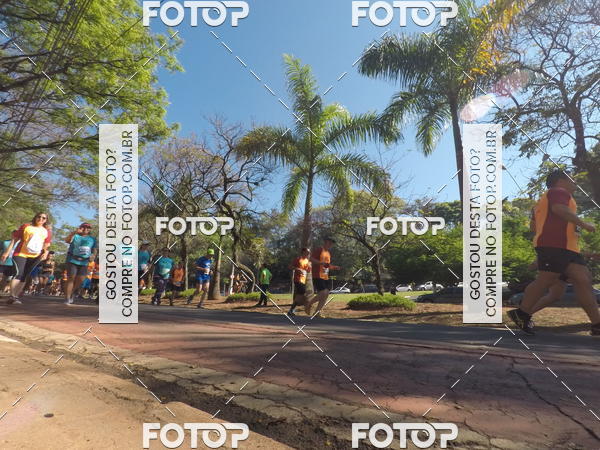 Buy your photos of the event35� Corrida INTEGRA��O EPTV 10K on Fotop