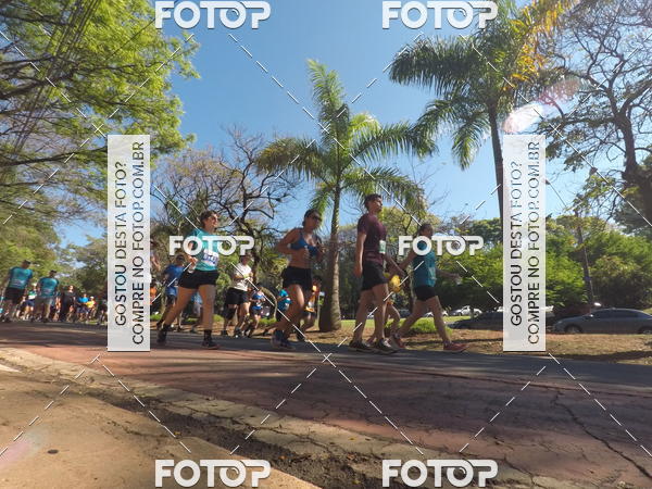Buy your photos of the event35� Corrida INTEGRA��O EPTV 10K on Fotop