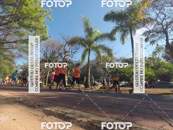 Buy your photos of the event35� Corrida INTEGRA��O EPTV 10K on Fotop