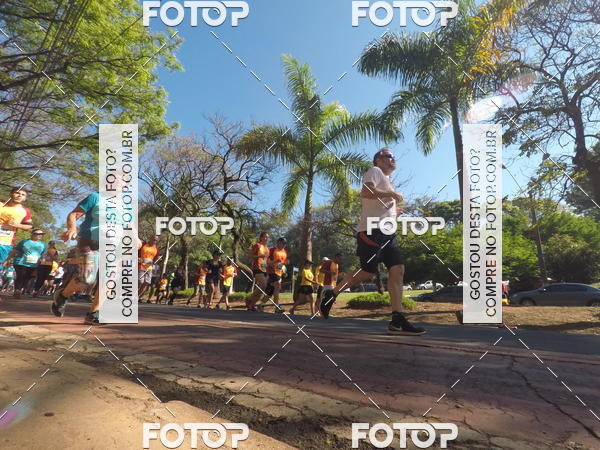 Buy your photos of the event35� Corrida INTEGRA��O EPTV 10K on Fotop