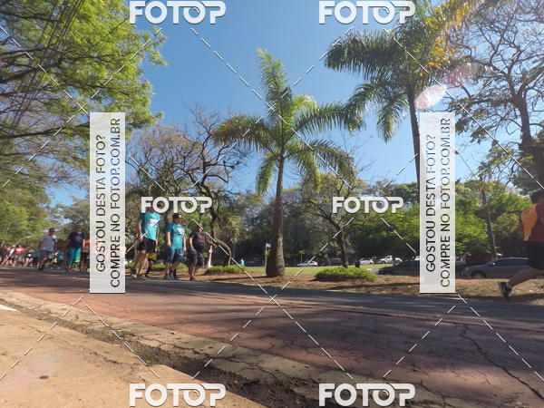 Buy your photos of the event35� Corrida INTEGRA��O EPTV 10K on Fotop