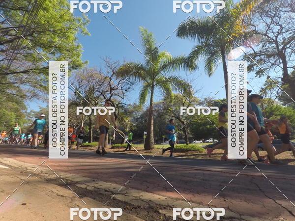 Buy your photos of the event35� Corrida INTEGRA��O EPTV 10K on Fotop