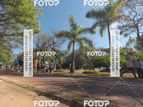 Buy your photos of the event35� Corrida INTEGRA��O EPTV 10K on Fotop