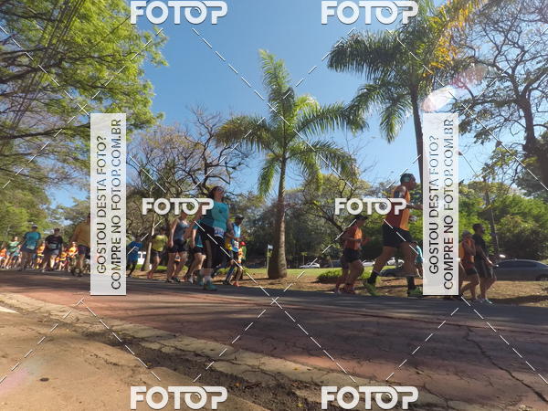 Buy your photos of the event35� Corrida INTEGRA��O EPTV 10K on Fotop