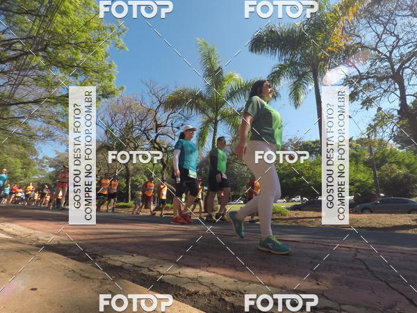 Buy your photos of the event35� Corrida INTEGRA��O EPTV 10K on Fotop